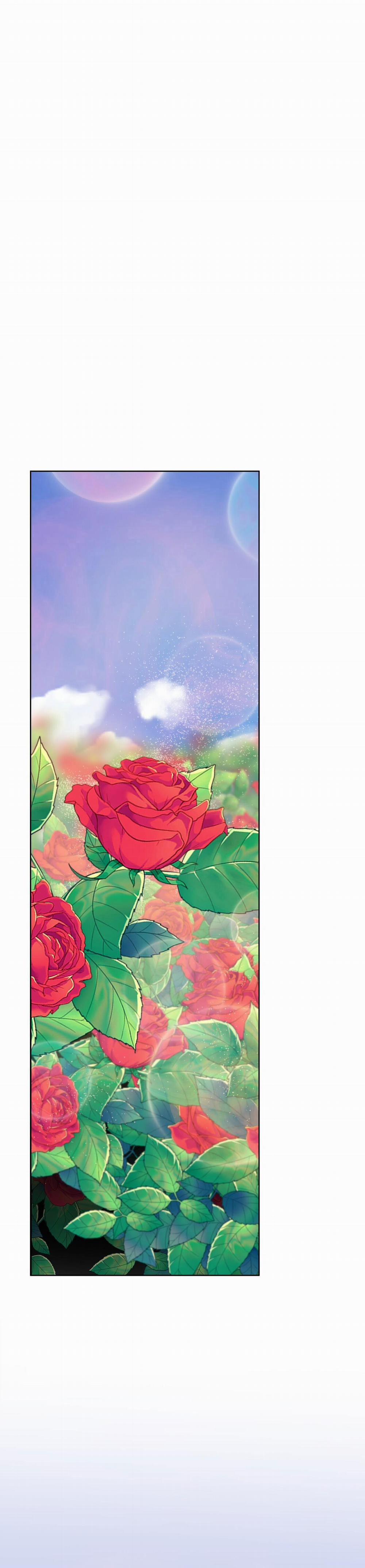 Into The Rose Garden 26 trang 11
