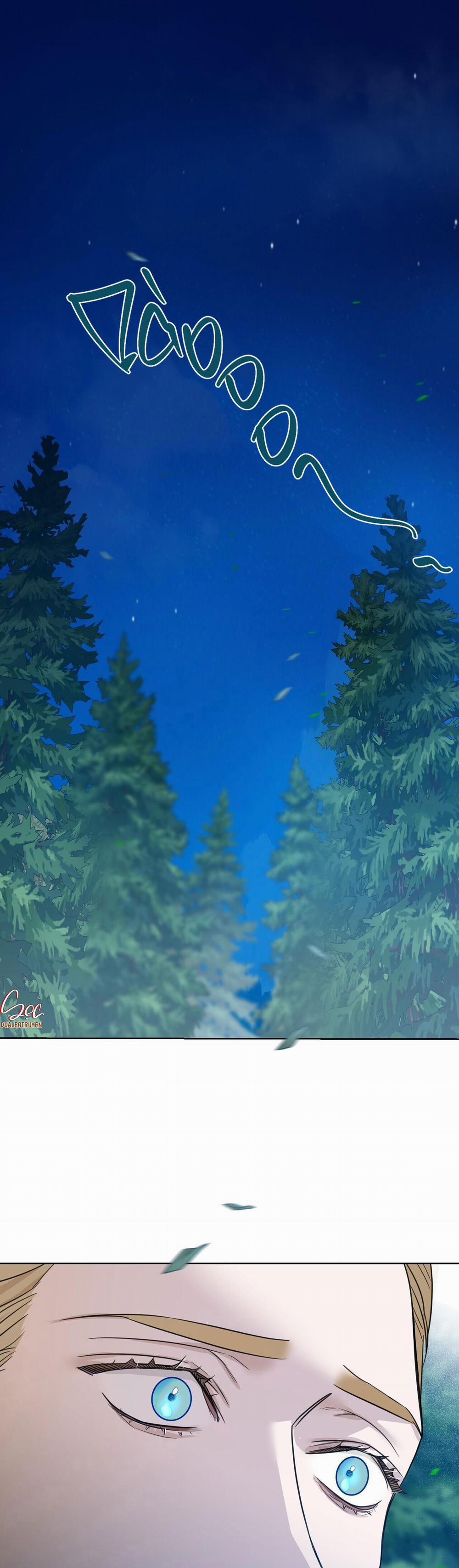 Into The Rose Garden 29 trang 1