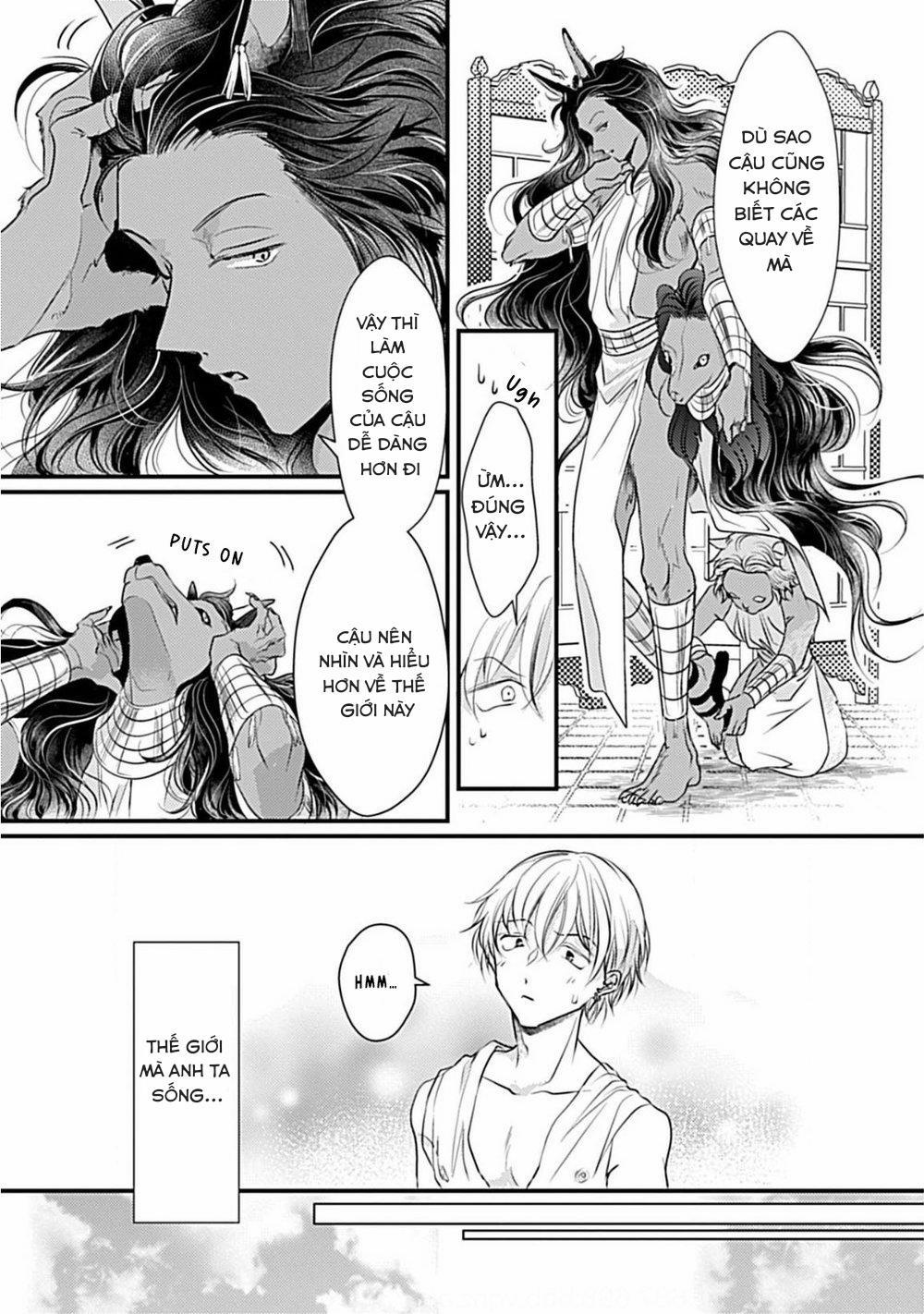 Itoshi no Kemukujaraa 2 trang 16