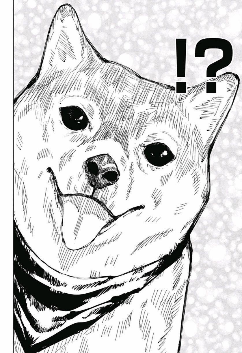 Jujutsu Kaisen - Chú Thuật Hồi Chiến 68 trang 13