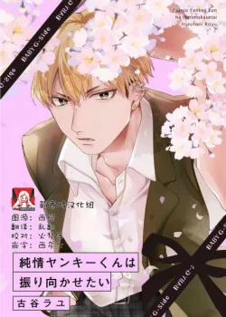 Đọc truyện tranh Jyunjo Yankee- Kun Hãy Quay Lại