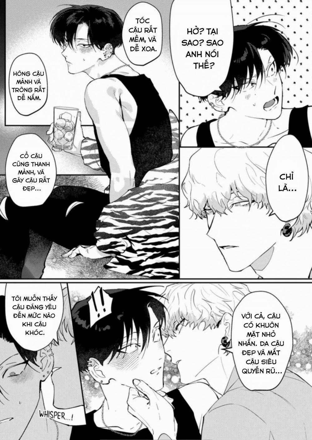 Kabukicho Cat Honey 1 trang 14