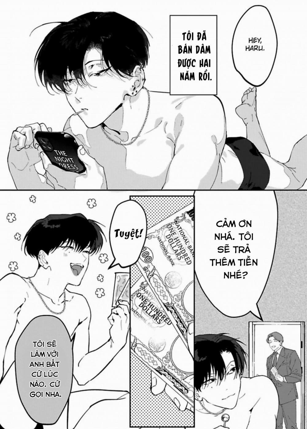 Kabukicho Cat Honey 1 trang 2