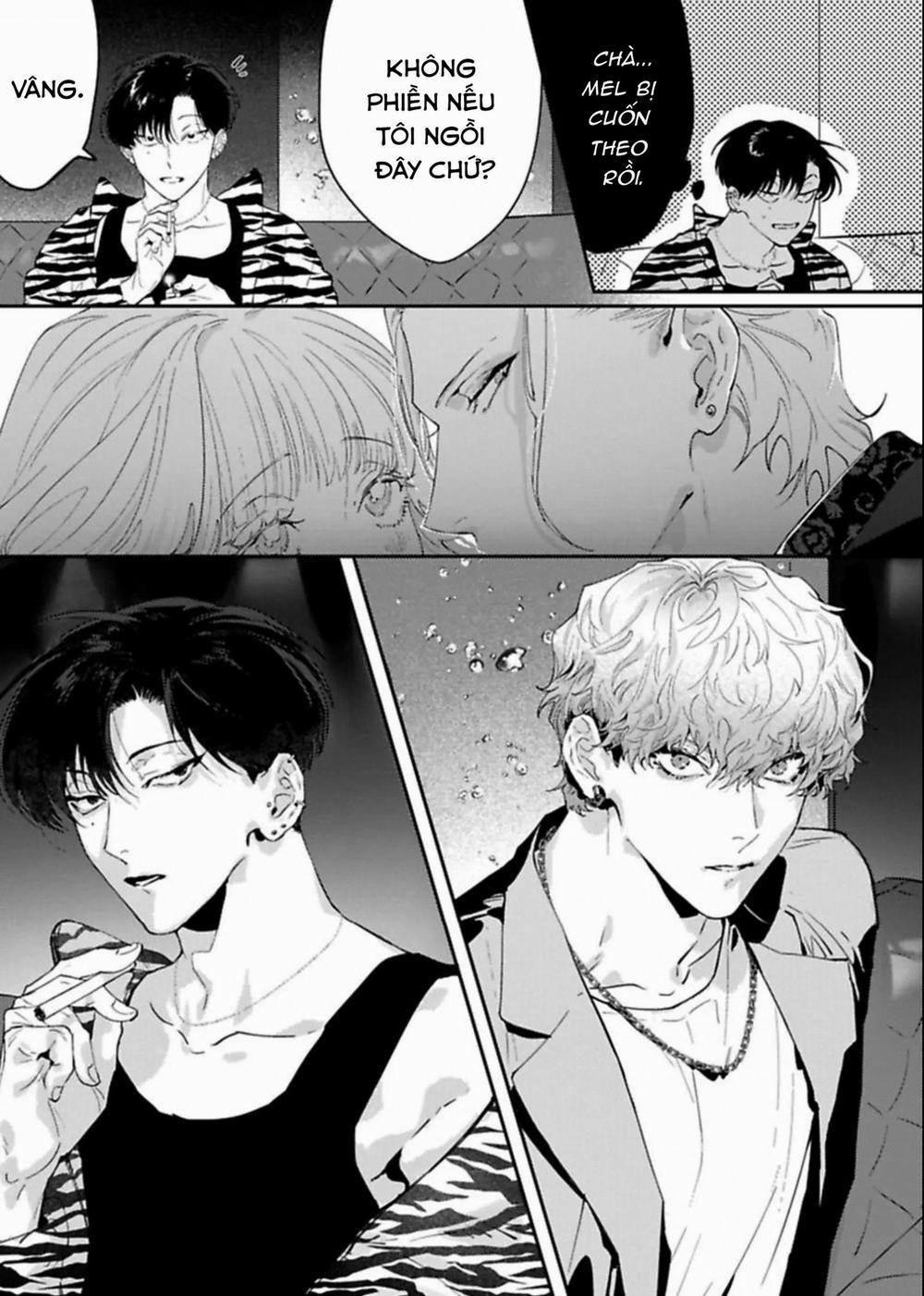 Kabukicho Cat Honey 1 trang 8