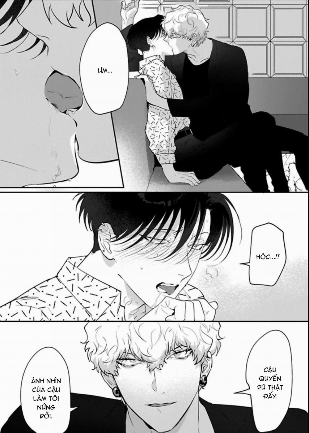 Kabukicho Cat Honey 2 trang 11