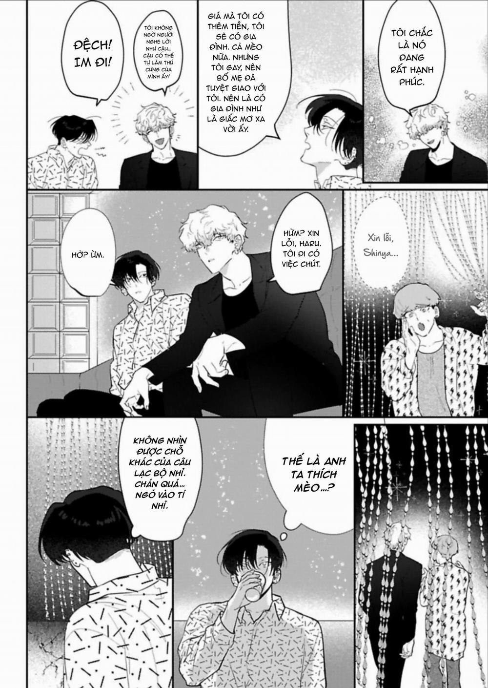 Kabukicho Cat Honey 2 trang 17