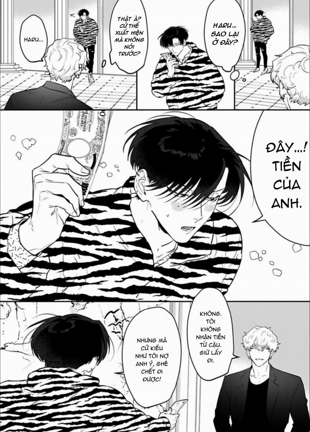 Kabukicho Cat Honey 2 trang 7