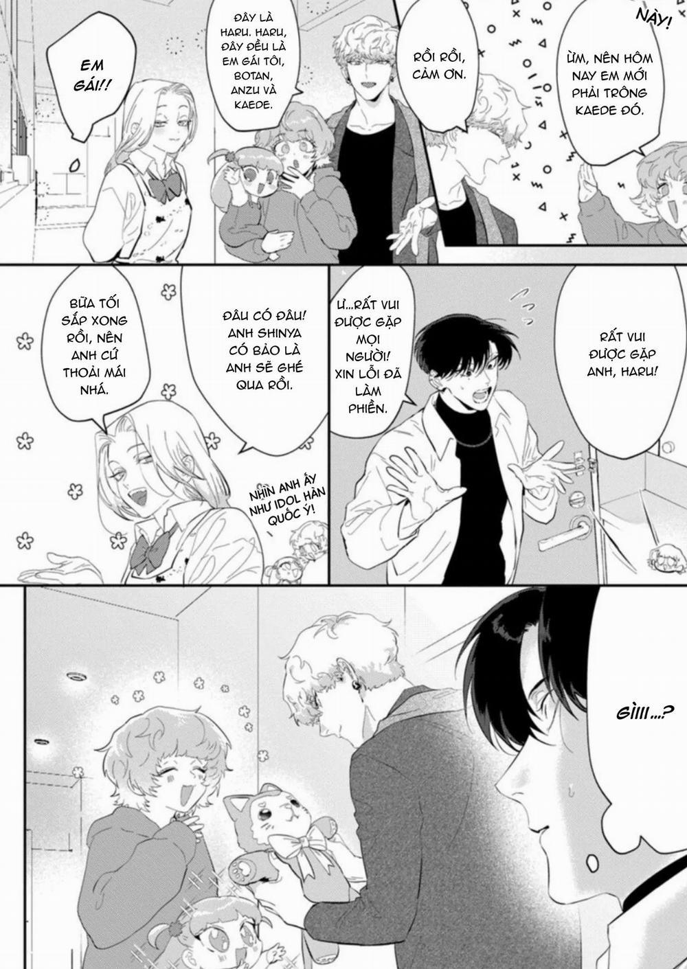 Kabukicho Cat Honey 3 trang 11