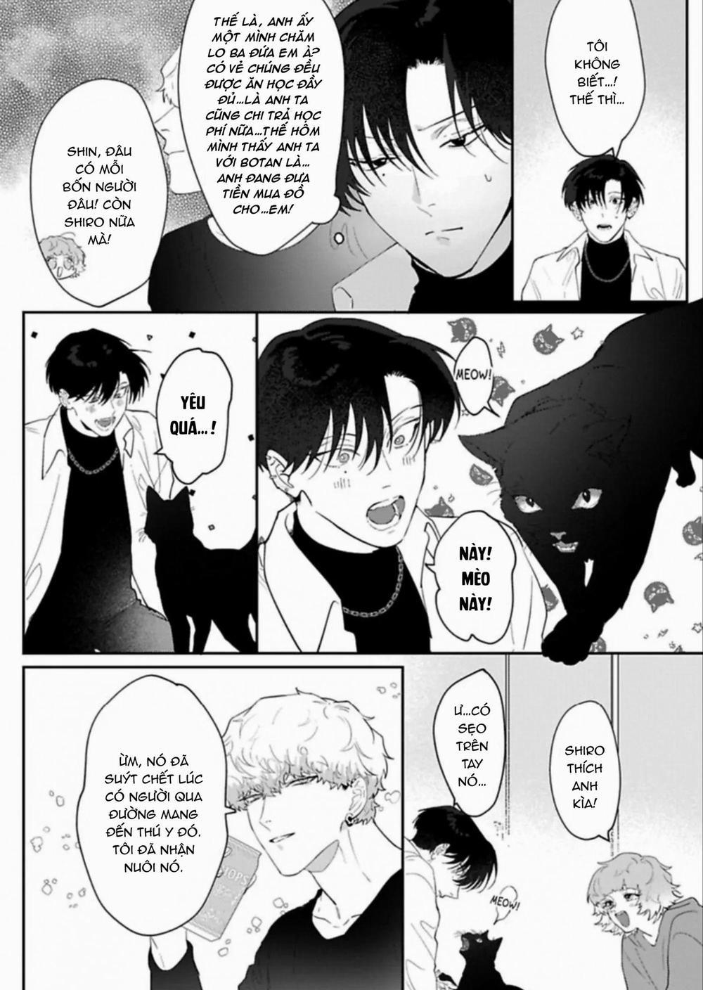 Kabukicho Cat Honey 3 trang 13