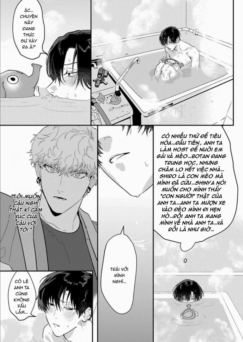 Kabukicho Cat Honey 3 trang 16