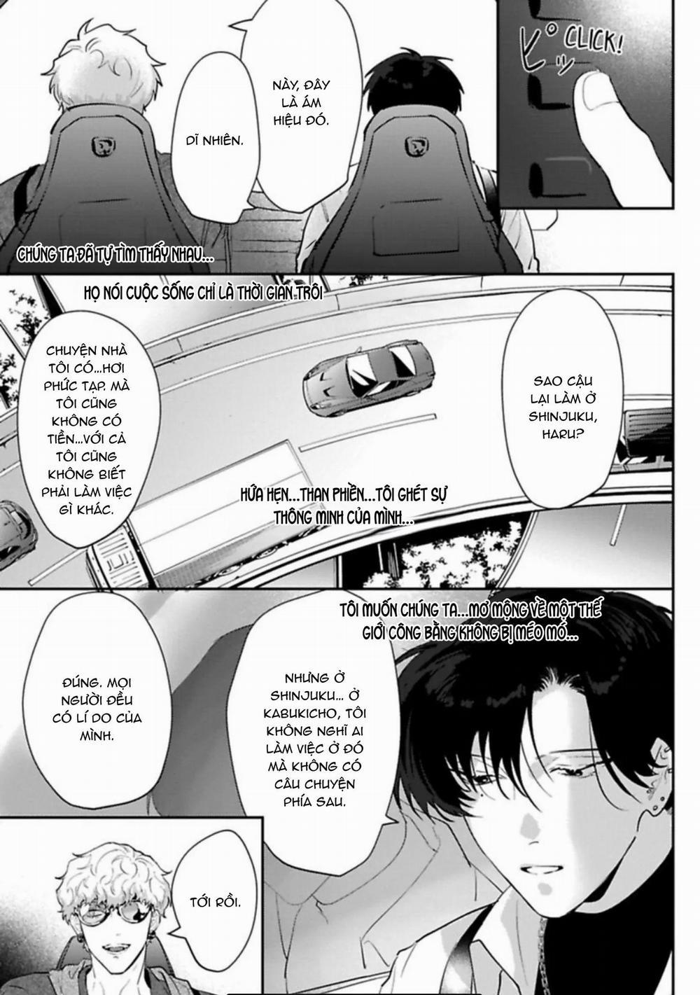 Kabukicho Cat Honey 3 trang 4