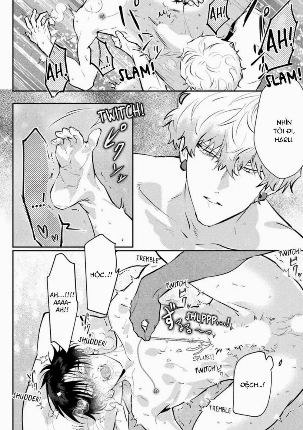 Kabukicho Cat Honey 4 trang 17