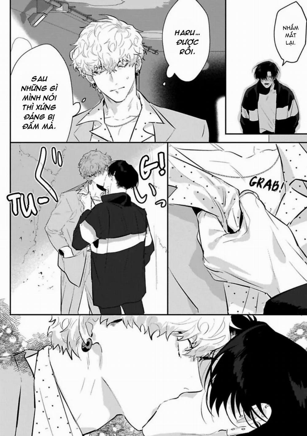 Kabukicho Cat Honey 5 trang 13