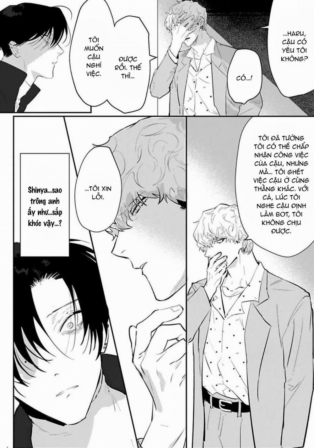 Kabukicho Cat Honey 5 trang 15