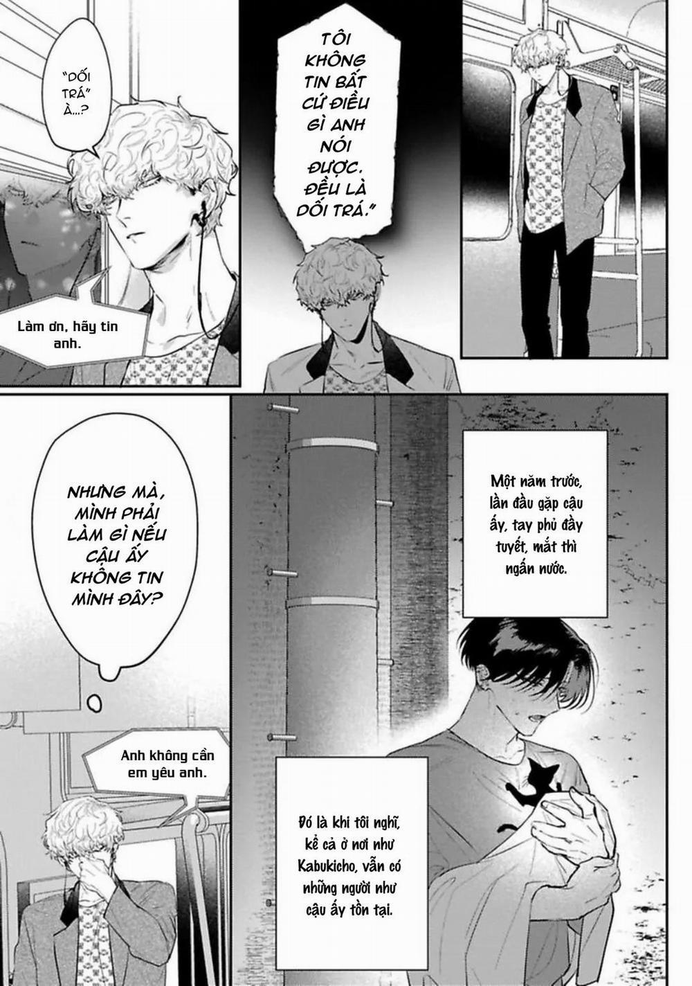 Kabukicho Cat Honey 5 trang 4