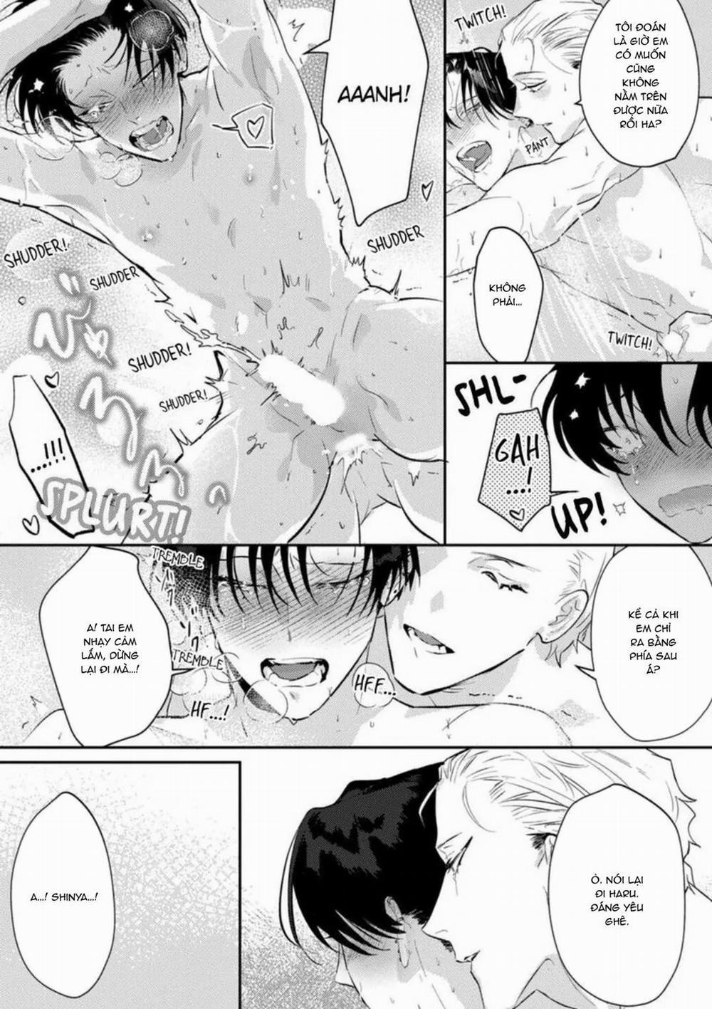 Kabukicho Cat Honey 6 trang 18