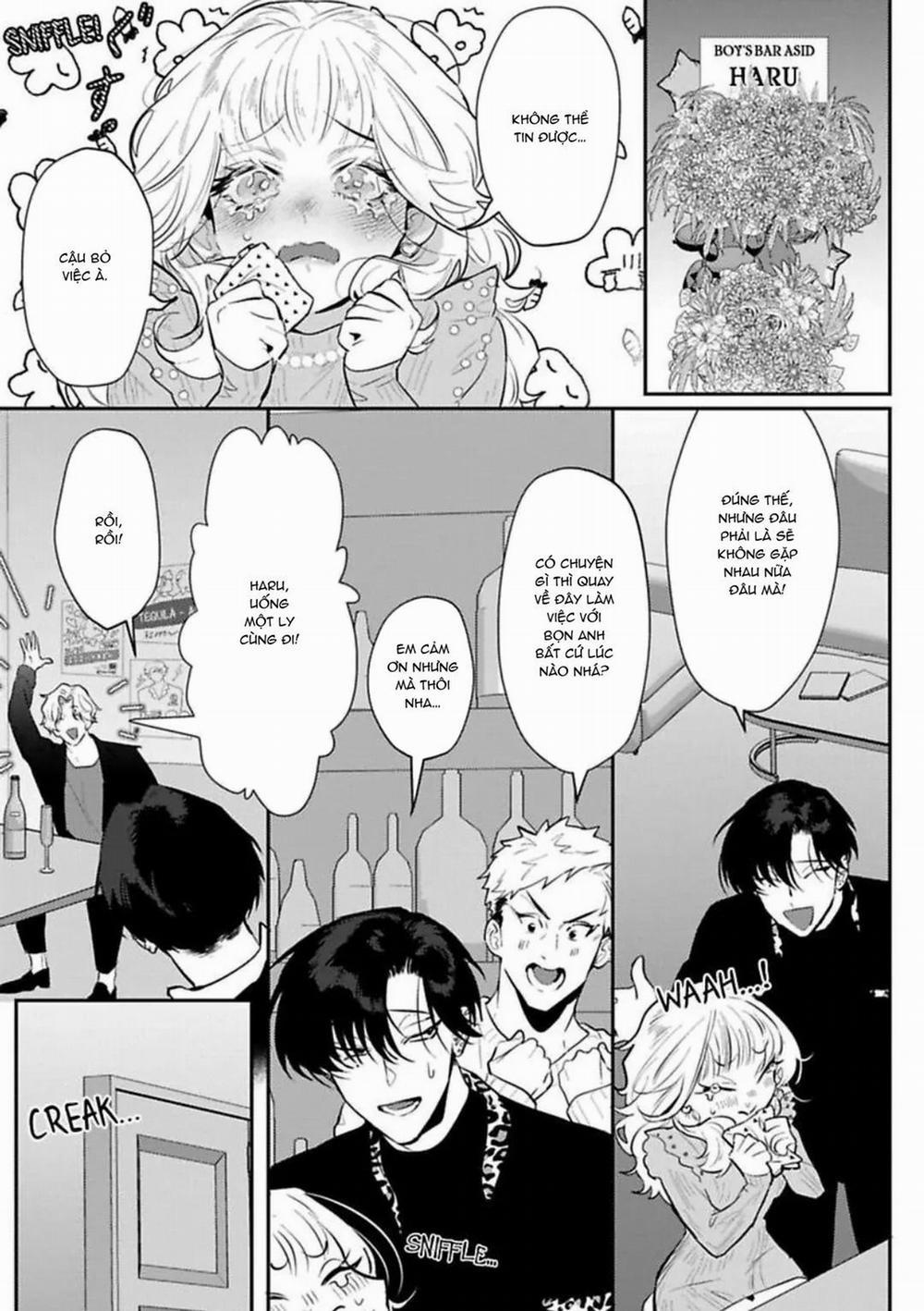 Kabukicho Cat Honey 6 trang 2