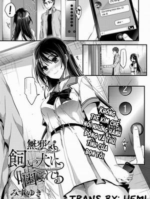 Đọc truyện tranh Kaiinu Ni Kameraru