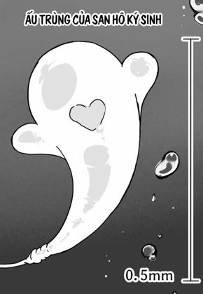 Đọc truyện tranh . kaikan kikan: kisei gata