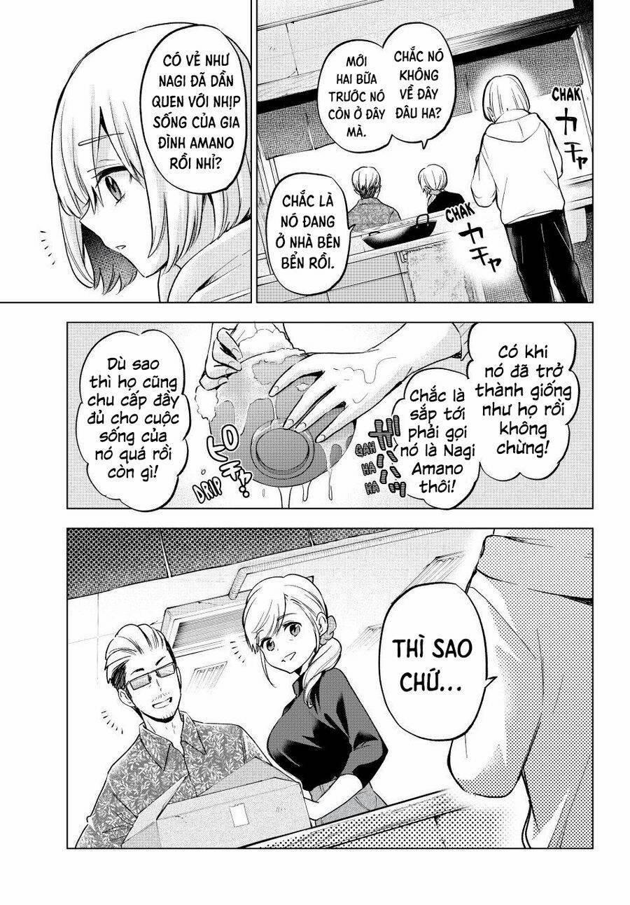 Kakkou No Iinazuke 165 trang 13