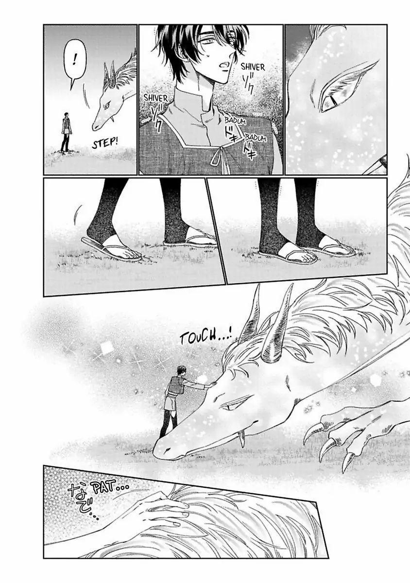 Kamikemono no Hakoniwa 3 trang 11