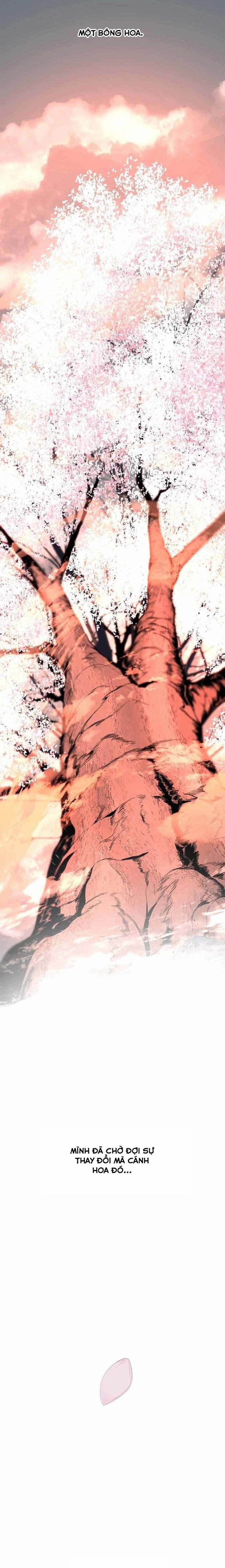 Kẻ Giết Anh Hùng 163 trang 20