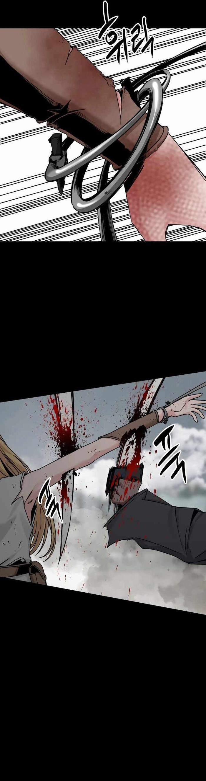 Kẻ Giết Anh Hùng 175 trang 46