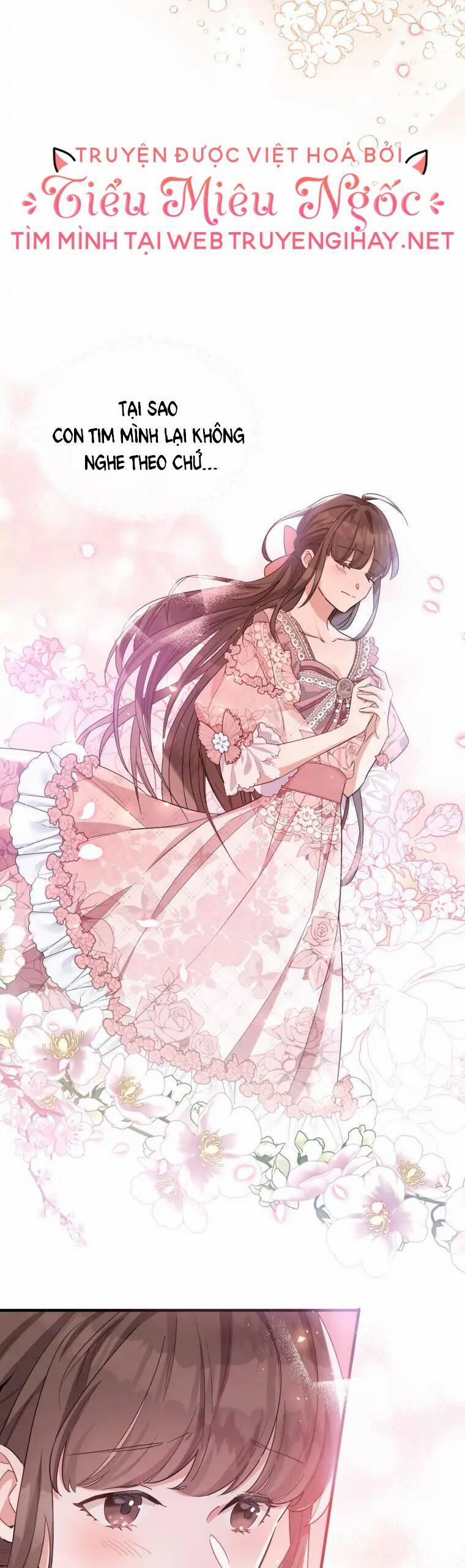 Kế Hoạch B 36 trang 13