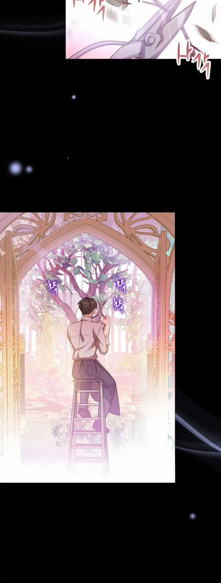 Kế Hoạch B 40 trang 6