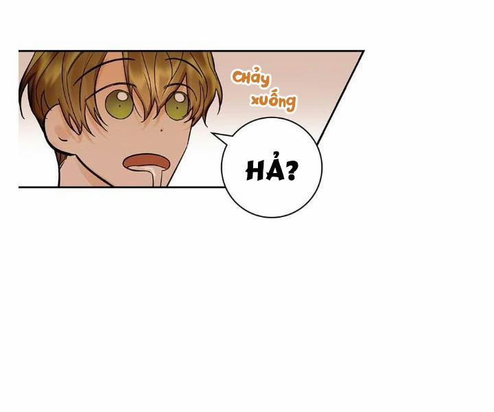 Kế hoạch đám cưới của Mr và Mr 11 trang 17