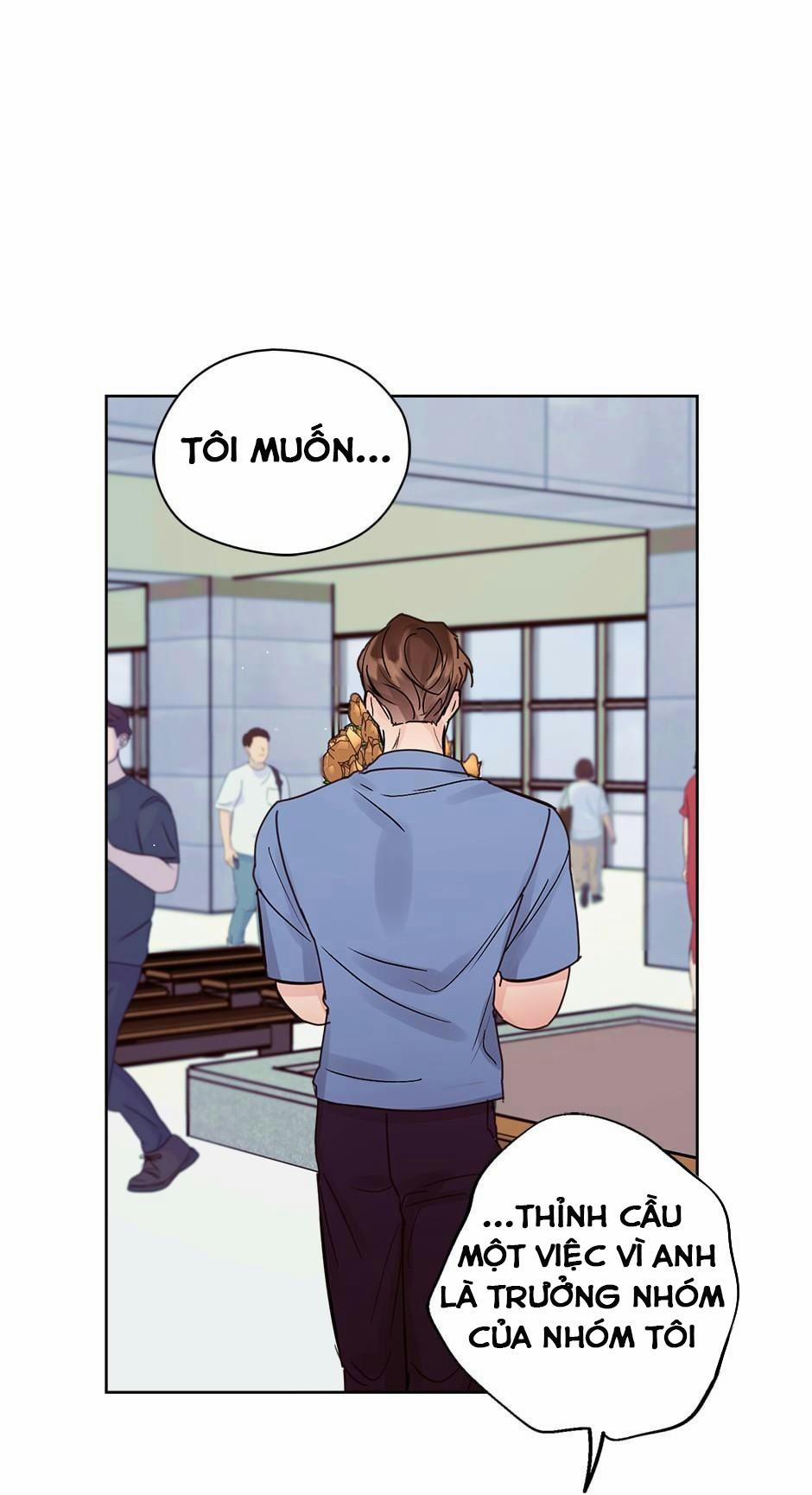 Kế hoạch đám cưới của Mr và Mr 19 trang 64