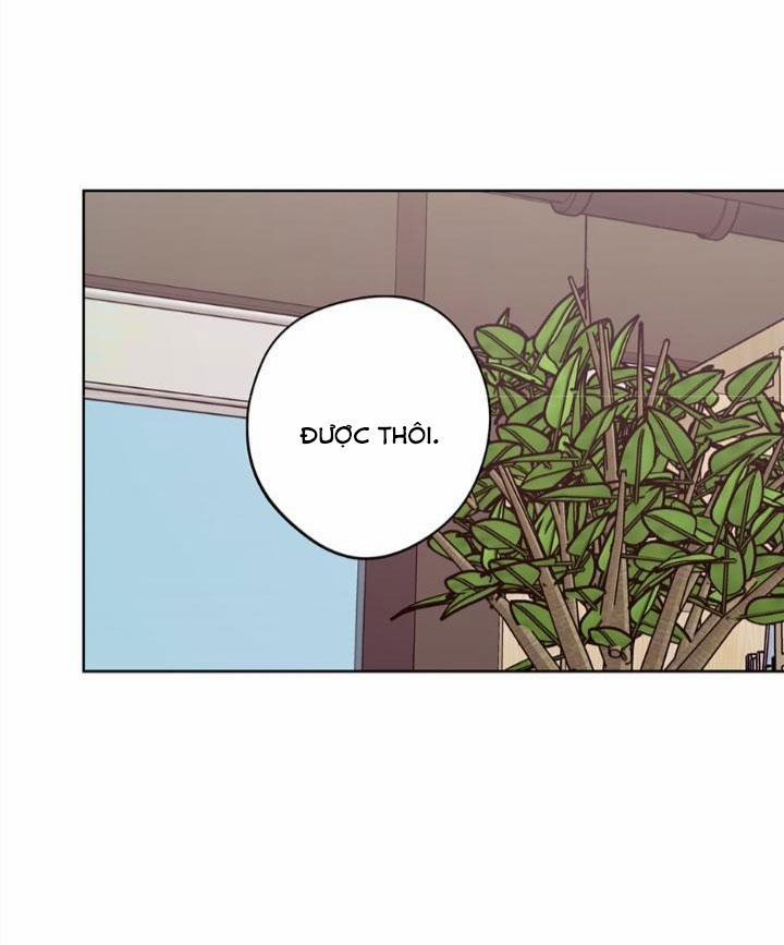 Kế hoạch đám cưới của Mr và Mr 21 trang 49