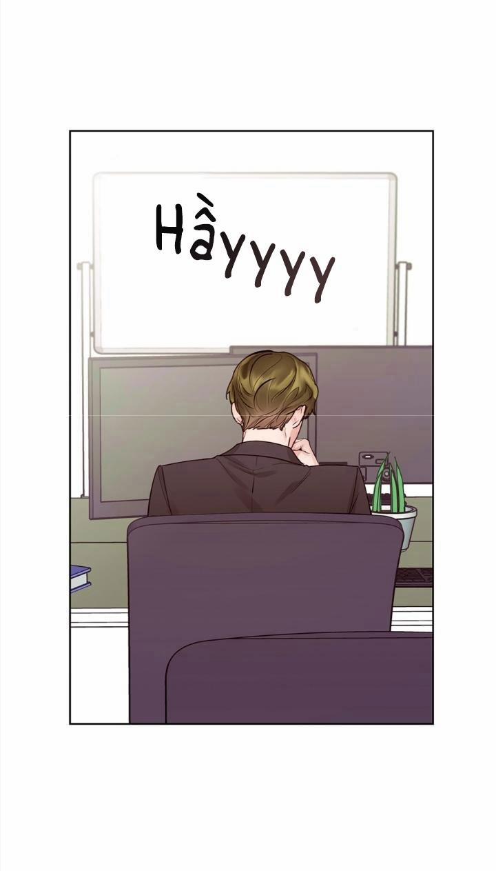 Kế hoạch đám cưới của Mr và Mr 21 trang 54