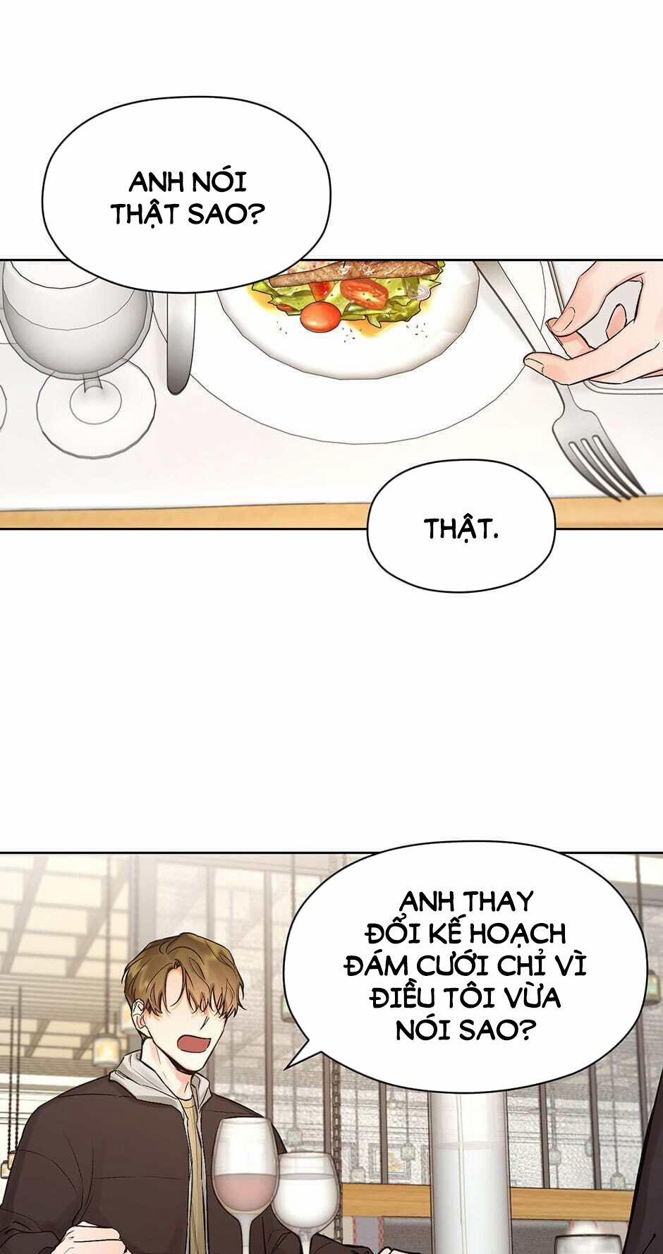 Kế hoạch đám cưới của Mr và Mr 6 trang 0