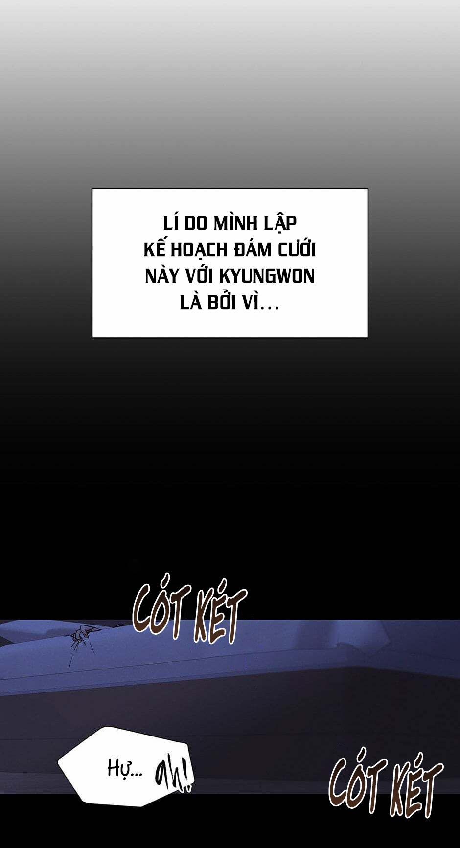 Kế hoạch đám cưới của Mr và Mr 6 trang 5