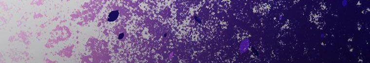 Kế Hoạch Kết Thúc Có Hậu Cho Nhân Vật Phản Diện 30.2 trang 193