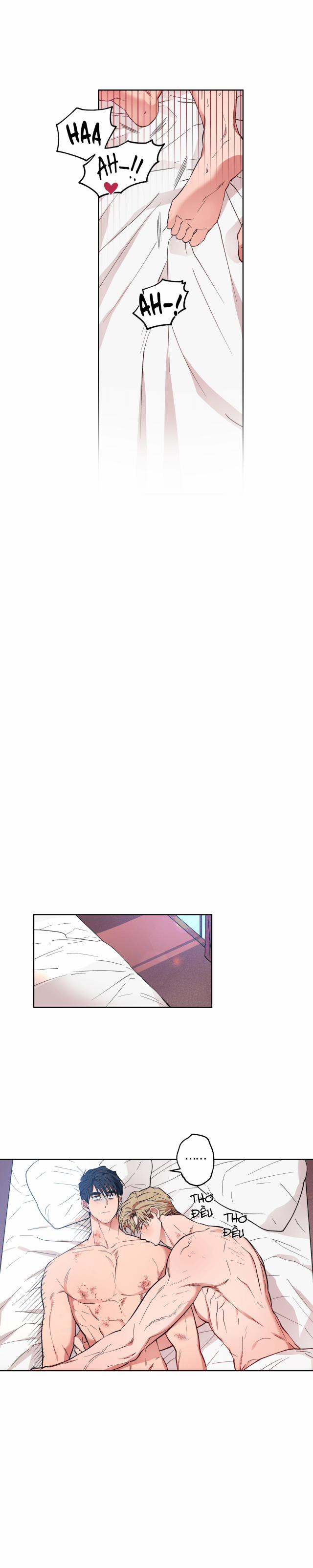 Kế Hoạch Mở Rộng Trái Tim 10 trang 14