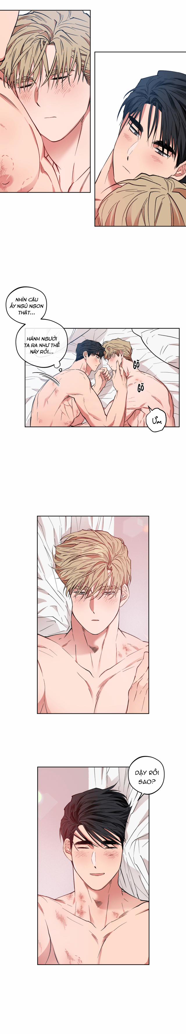 Kế Hoạch Mở Rộng Trái Tim 10 trang 15