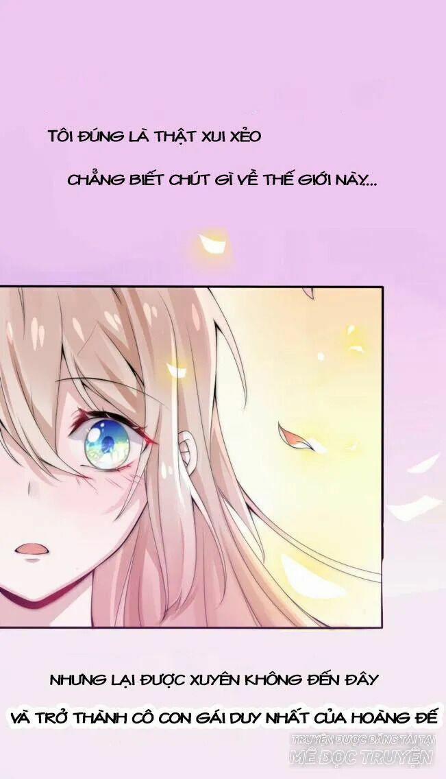 Kế Hoạch Sủng Ái Của Tiểu Công Chúa 1 trang 0