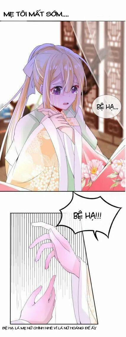 Kế Hoạch Sủng Ái Của Tiểu Công Chúa 1 trang 2