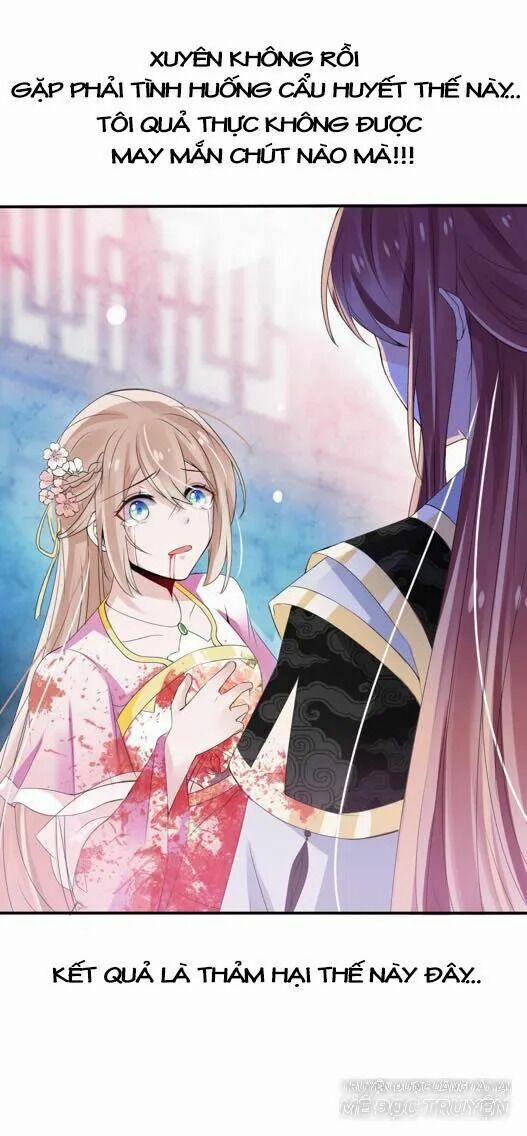 Kế Hoạch Sủng Ái Của Tiểu Công Chúa 1 trang 5