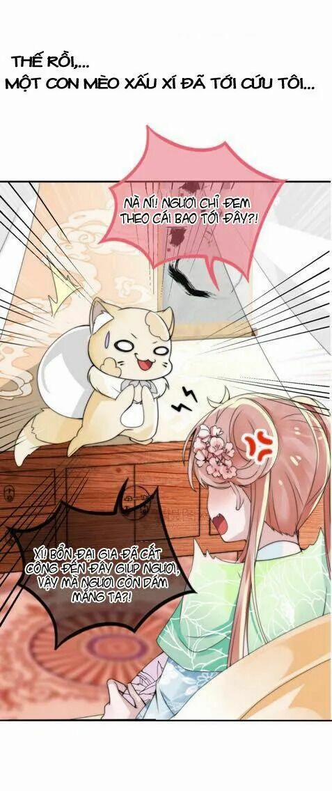 Kế Hoạch Sủng Ái Của Tiểu Công Chúa 1 trang 7