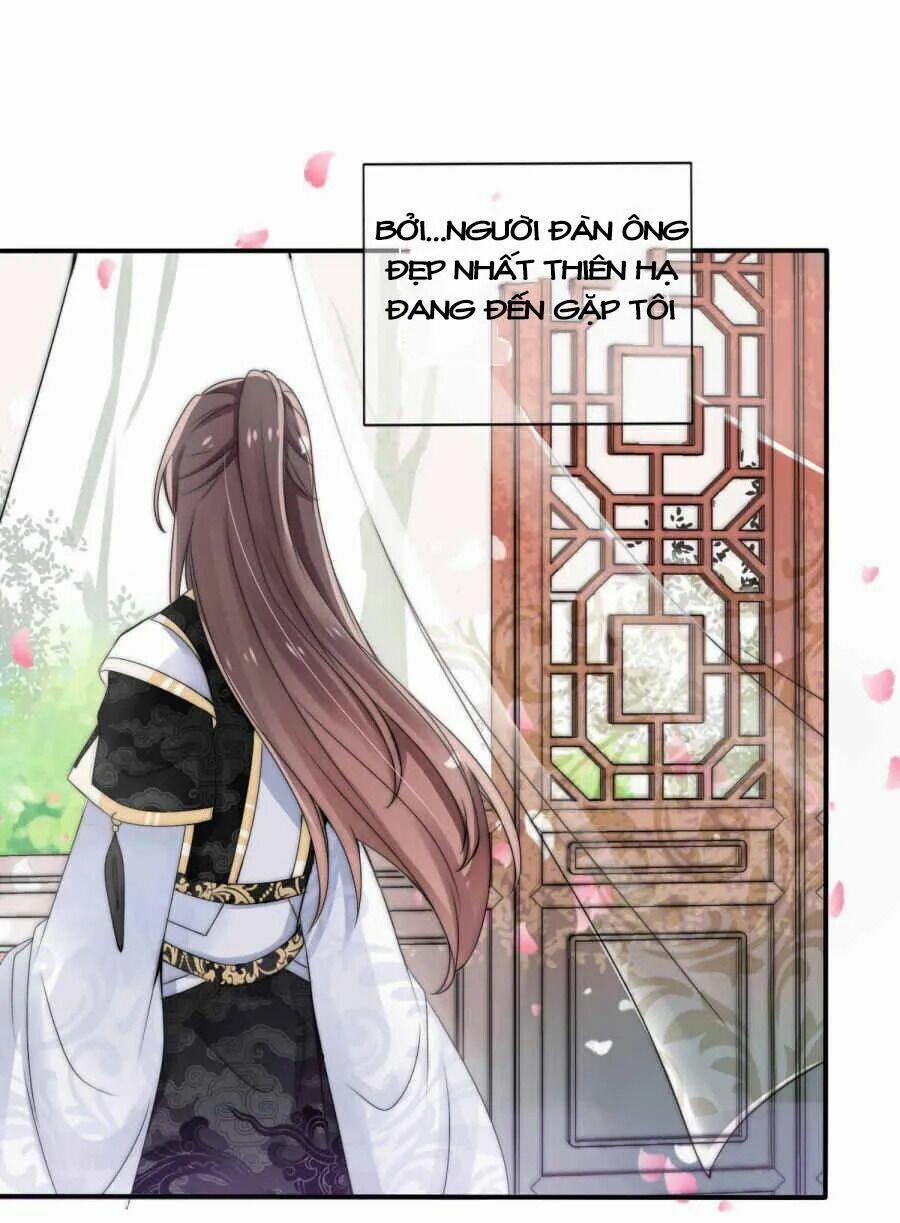 Kế Hoạch Sủng Ái Của Tiểu Công Chúa 2 trang 2