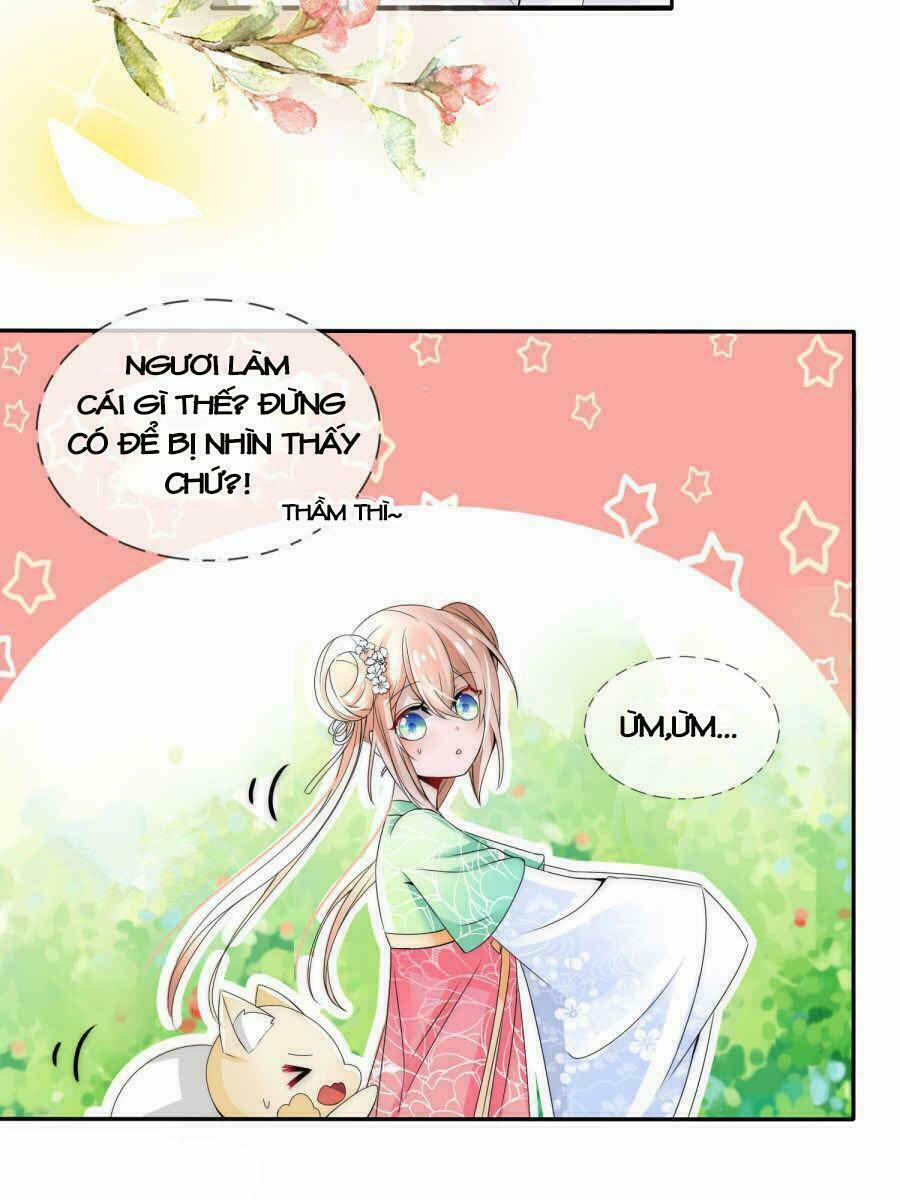 Kế Hoạch Sủng Ái Của Tiểu Công Chúa 3 trang 11