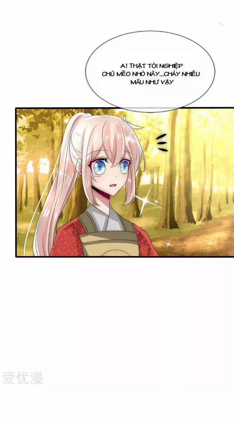 Kế Hoạch Sủng Ái Của Tiểu Công Chúa 35 trang 31