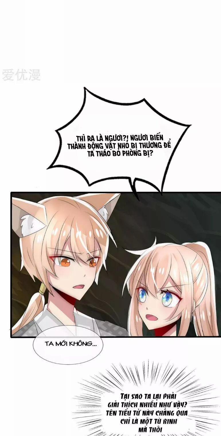 Kế Hoạch Sủng Ái Của Tiểu Công Chúa 36 trang 15