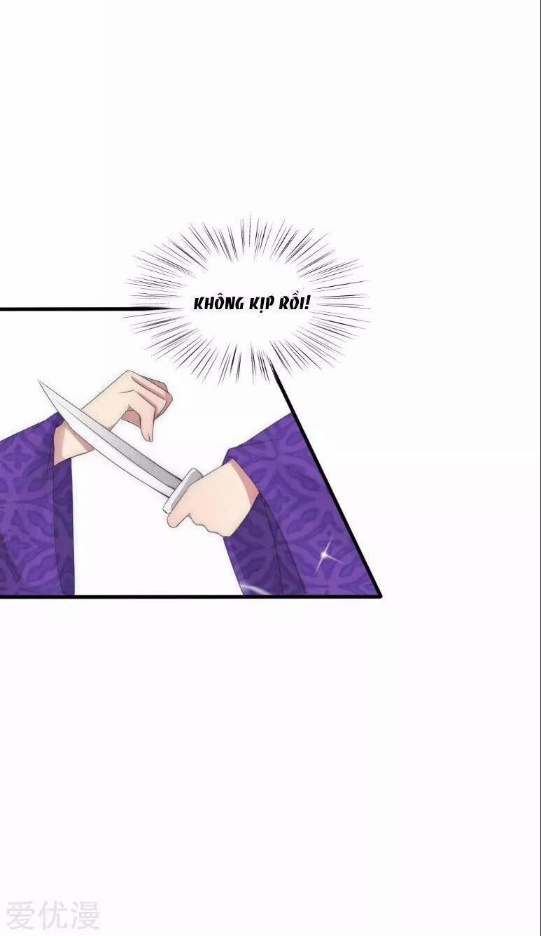 Kế Hoạch Sủng Ái Của Tiểu Công Chúa 40 trang 5