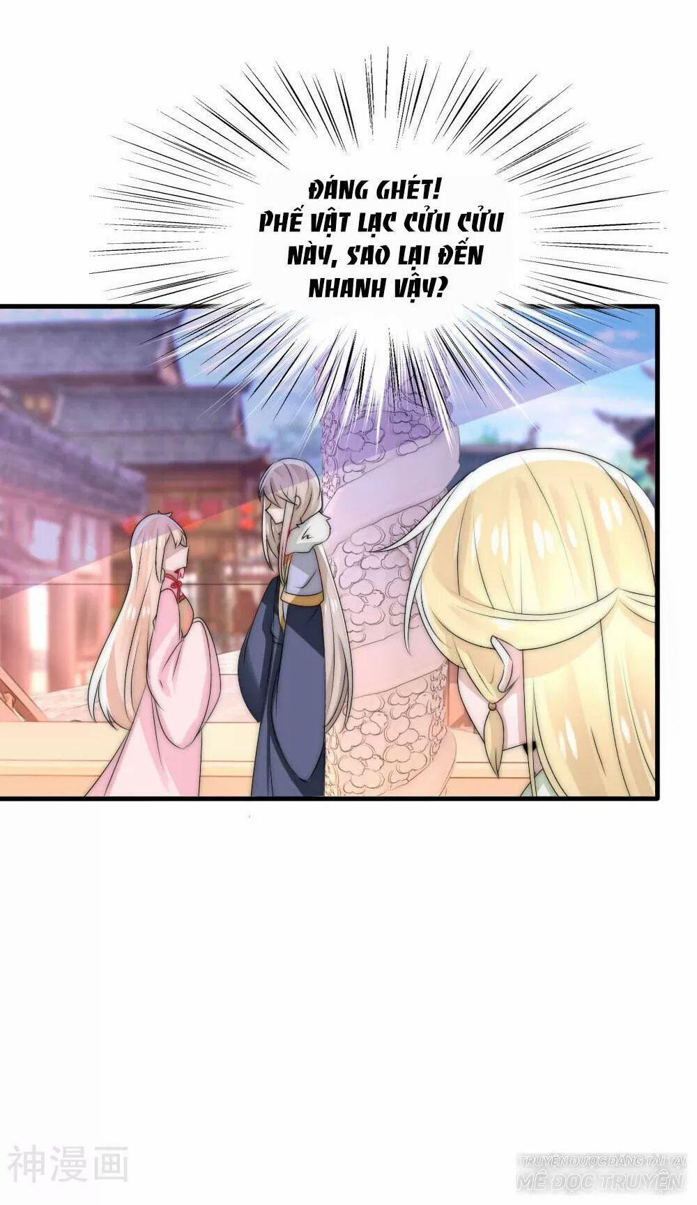 Kế Hoạch Sủng Ái Của Tiểu Công Chúa 49 trang 10