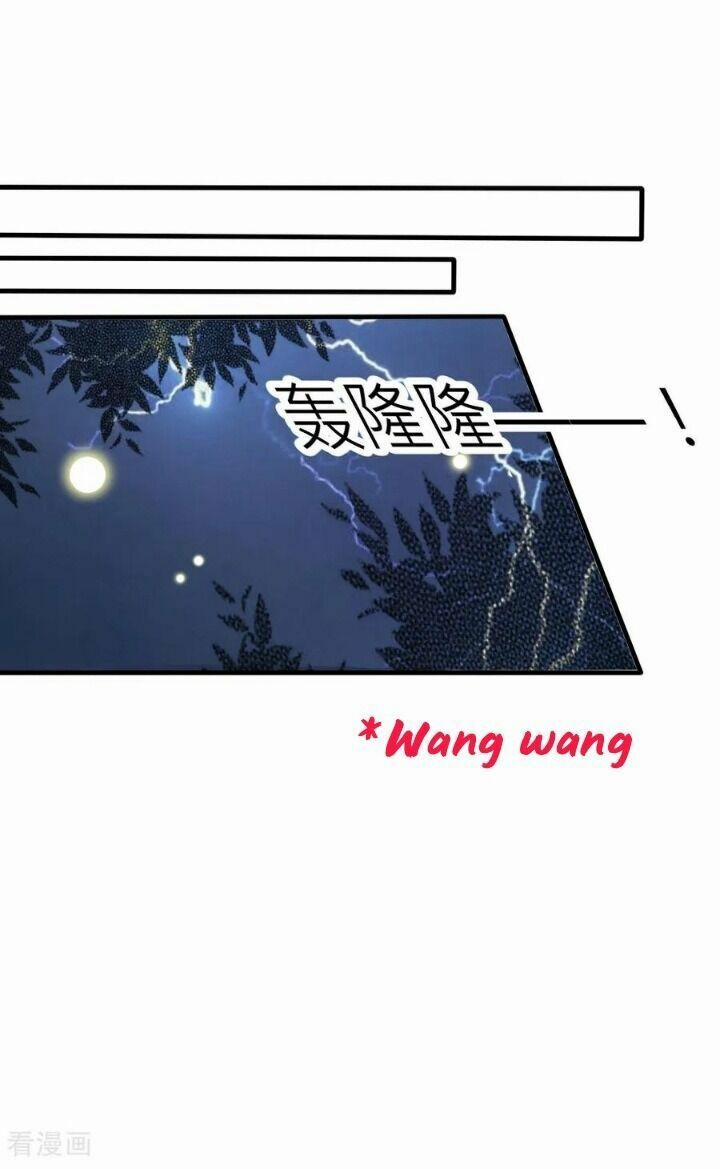 Kế Hoạch Sủng Ái Của Tiểu Công Chúa 65 trang 7