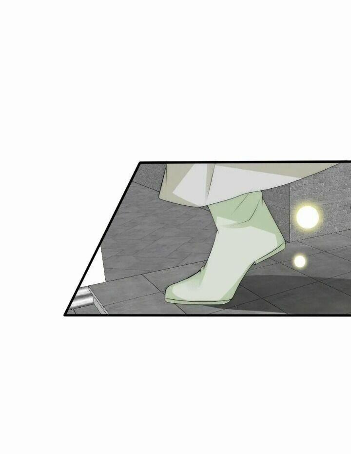 Kế Hoạch Sủng Ái Của Tiểu Công Chúa 68 trang 12